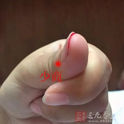 少商是手太阴肺经的最后一个穴位，拇指桡侧指甲角旁0.1寸处，掐之可泄肺中之热