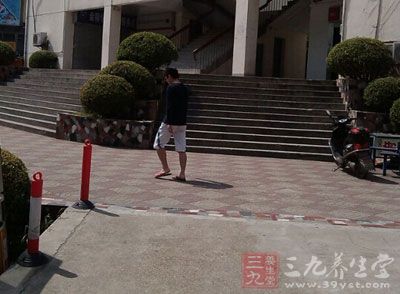 补肾食物 —— 莲子心 补肾食物 —— 莲子心