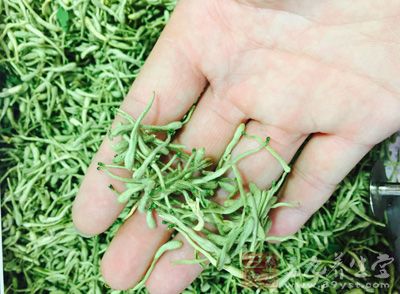 金银花、连翘、车前子、六一散各 10 克 金银花、连翘、车前子、六一散各 10 克