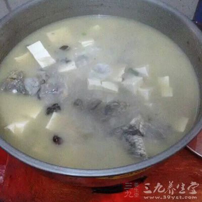 鲫鱼豆腐清汤1碗