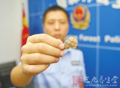 药店将穿山甲鳞片放入中药处方中--三九养生堂