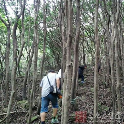 多做一些戶外活動，呼吸一下新鮮空氣，調(diào)節(jié)植物神經(jīng)，達到自身心情愉悅的目的。