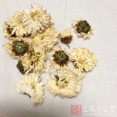 肝火耳鸣用菊花