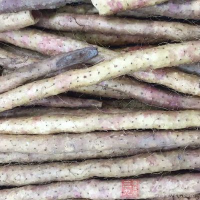 山药是中医推崇的补虚佳品