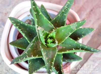 将润肤膏均匀敷在整个脸上,然后,眼、嘴闭合 将润肤膏均匀敷在整个脸上,然后,眼、嘴闭合