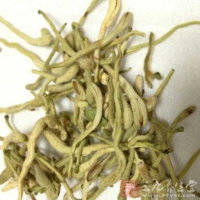 茶疗方：银花玄参饮