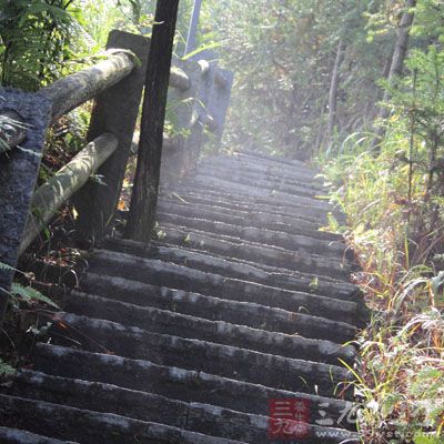 可以选择运动量大的活动，如爬山、打球、跳绳等