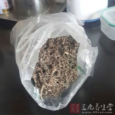 馬齒莧酸寒入胃經(jīng)涼血清熱解毒消癰