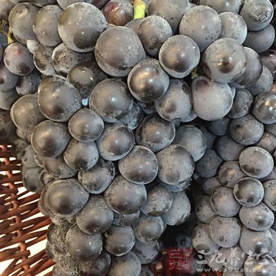 黑葡萄含有丰富的钙、钾、磷、铁以及维生素b1、b2、b6、c等，还含有多种人体所需的氨基酸