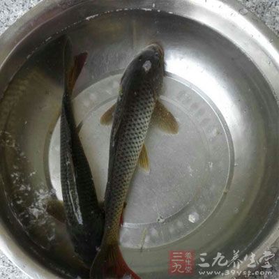 深海魚少中風