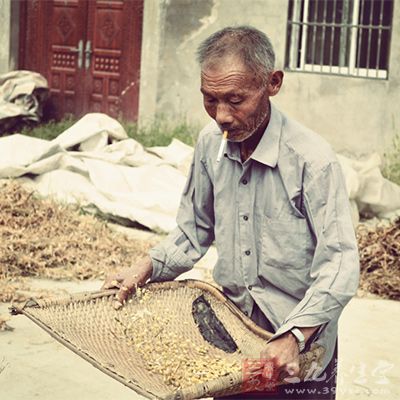 古人還提倡食用單味藥物以延年益壽