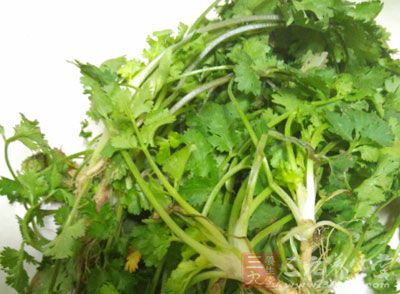 将带根的香菜洗净，加水煎煮