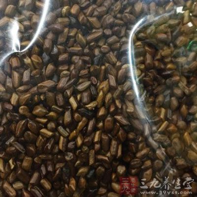 山杠决明子茶 山杠决明子茶