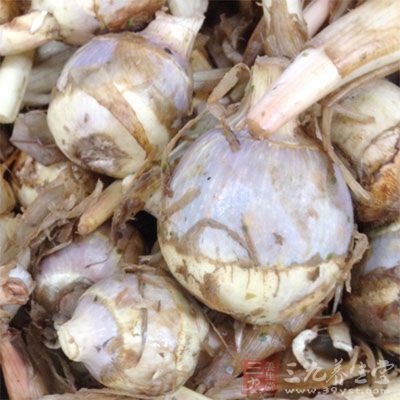 山慈姑有抗癌的作用 山慈姑有抗癌的作用