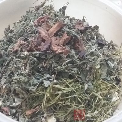 鲜三白草1000克 鲜皂角刺250克