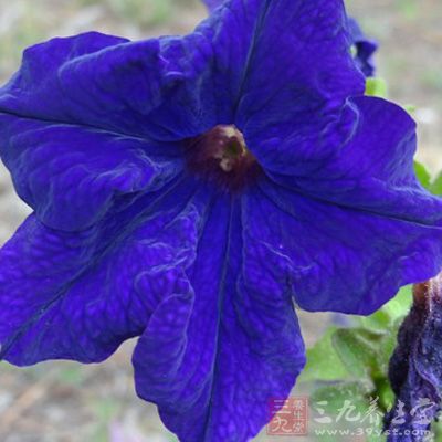 选择了做企业家，便意味着选择与压力、竞争、劳累、焦虑结伴而行