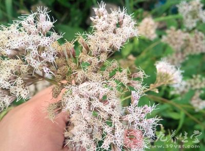 企业家因病英年早逝以及一些企业家自杀的案例不断进入公众视线