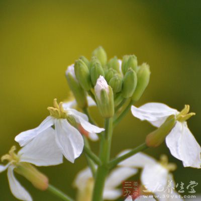 从心理学的角度出发，好的解压方式莫过于被业界广泛认可的四种格式化方式