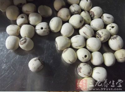 莲子也可加白糖当点心吃;肚子蘸酱油佐餐食,也可切片放人汤内,加细盐半匙,再烧片刻,连汤吃 莲子也可加白糖当点心吃;肚子蘸酱油佐餐食,也可切片放人汤内,加细盐半匙,再烧片刻,连汤吃