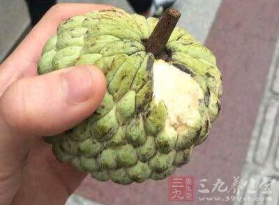 吃番石榴治腹泻