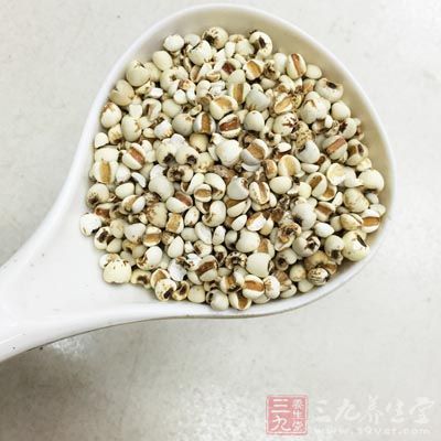 用荷葉、土茯苓、扁豆、薏米