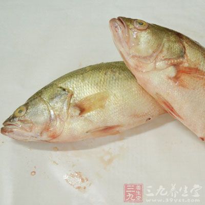 担心发胖,却又不想节食?那你只能挑选对的食物了,比如金枪鱼 担心发胖,却又不想节食?那你只能挑选对的食物了,比如金枪鱼