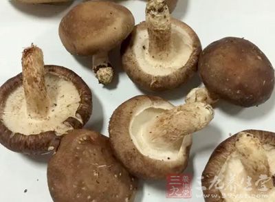 蘑菇能防癌抗衰