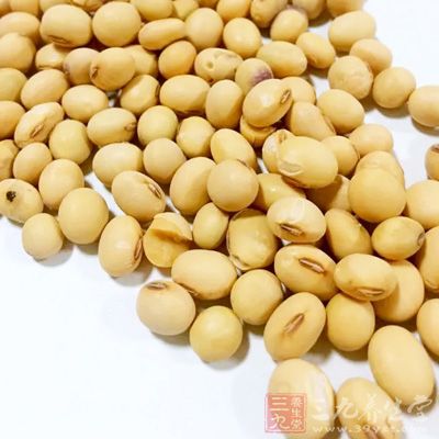 大豆里含有大脑所需的优质蛋白和八种人体必需的氨基酸