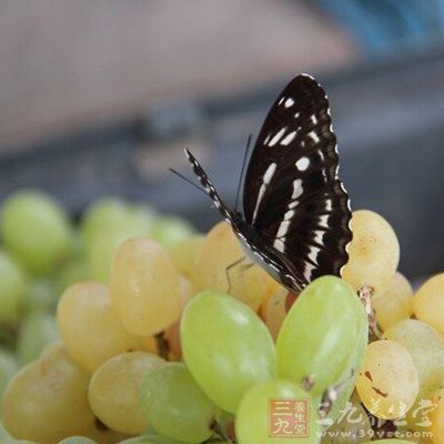 多吃蔬菜和水果