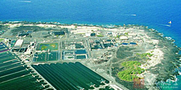 美国NUTREX夏威夷虾青素胶囊 - 三九养生堂