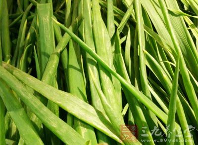 心肌梗死偏方 用这偏方治疗效果好