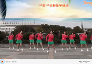 茉莉广场舞 情歌风广场舞一生唱情歌