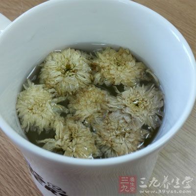 清热明目茶材料之一菊花