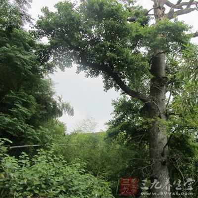 位于昌平小汤山的龙脉温泉度假区，是集住宿、餐饮、娱乐、会议、休闲度假为一体的设施完备的度假区