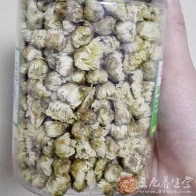 怀菊抗氧化的效果就大大好于其他菊花