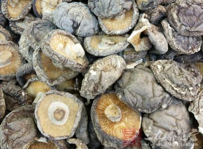 香菇有益气祛湿、养胃润肺、治风化痰的功效