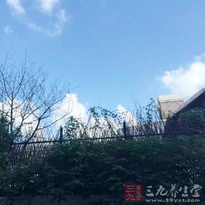 高層遠(yuǎn)離地面，也就相當(dāng)于遠(yuǎn)離了喧囂