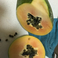 木瓜的功效和作用 常吃木瓜能防癌抗癌