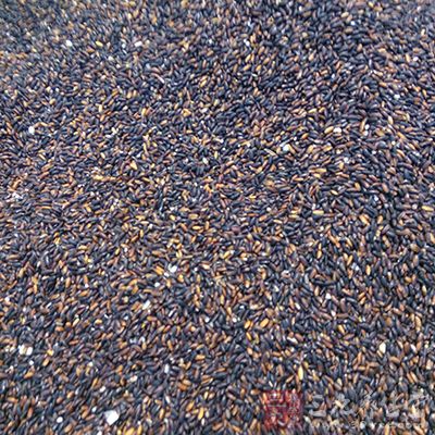 黑米具有清除自由基 黑米具有清除自由基