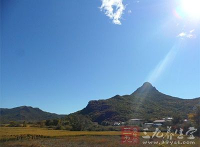 在依拉草原散步，看白云从湛蓝天空飘过