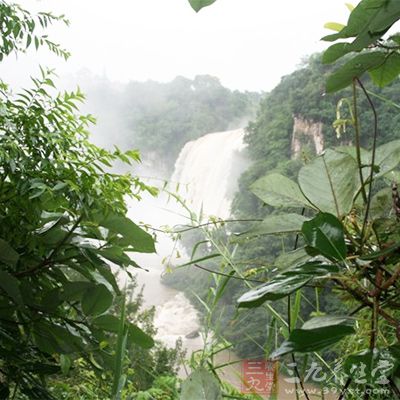 虎跳峡气势磅礴，水流汹涌，奇险壮观，置身其中，你一定会被眼前的景象所震撼