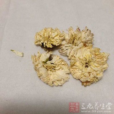 如素体肝阳上亢之人可常食菊花