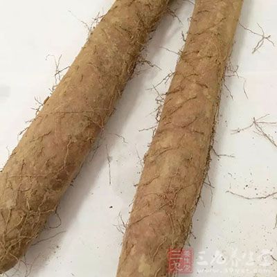 吃山藥補充蛋白質(zhì)