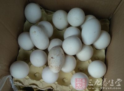 鹅蛋的营养价值 鹅蛋能促进胎儿大脑发育