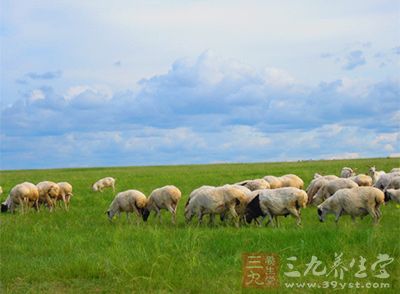 内蒙古旅游 带你走进内蒙古