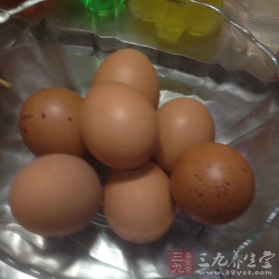 训练前后摄入乳清蛋白质