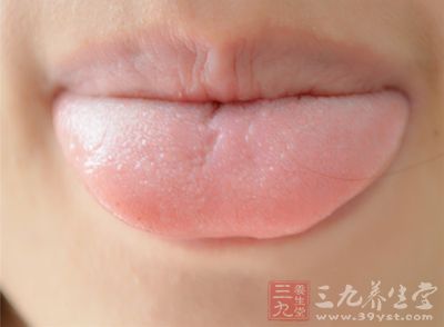 舌头位于口腔的最底部