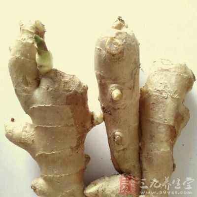 发芽的姜是可以吃的 发芽的姜是可以吃的