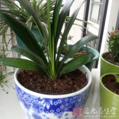 结婚照千万别在放家里这个地方