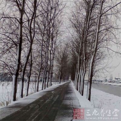 哈尔滨雪乡有中国雪乡美誉